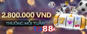 ta88