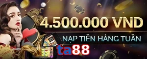 ta88